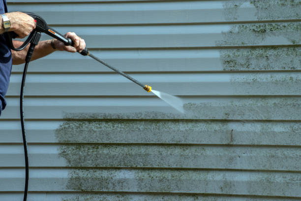 Best Pressure Washing Siding  in Lodi, NJ