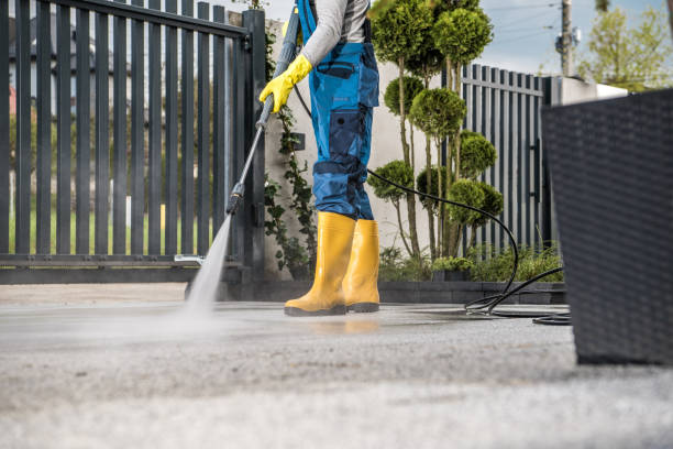 Best Roof Power Washing Services  in Lodi, NJ
